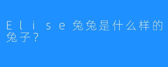 Elise兔兔是什么样的兔子？