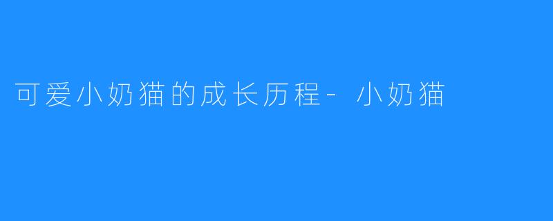 可爱小奶猫的成长历程-小奶猫