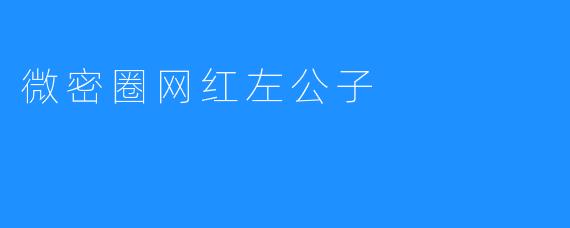 微密圈网红左公子