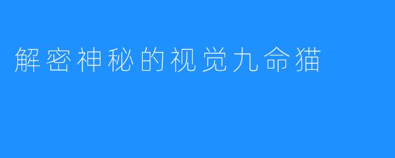 解密神秘的视觉九命猫
