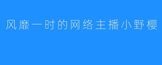 风靡一时的网络主播小野樱