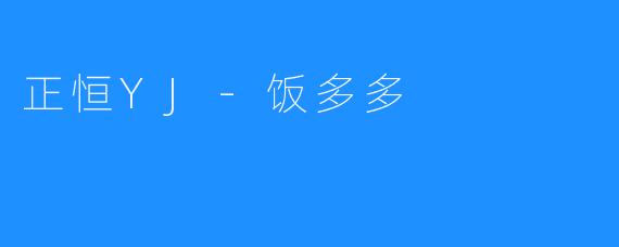 正恒YJ-饭多多