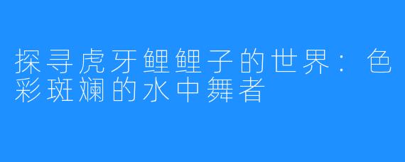 探寻虎牙鲤鲤子的世界：色彩斑斓的水中舞者
