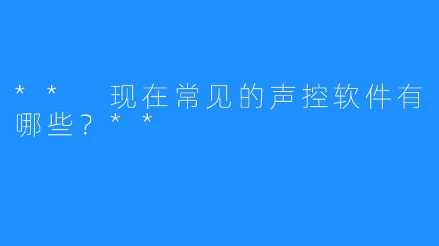 ** 现在常见的声控软件有哪些？**