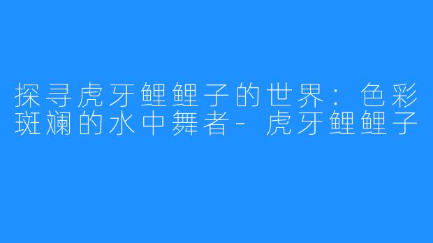 探寻虎牙鲤鲤子的世界：色彩斑斓的水中舞者-虎牙鲤鲤子
