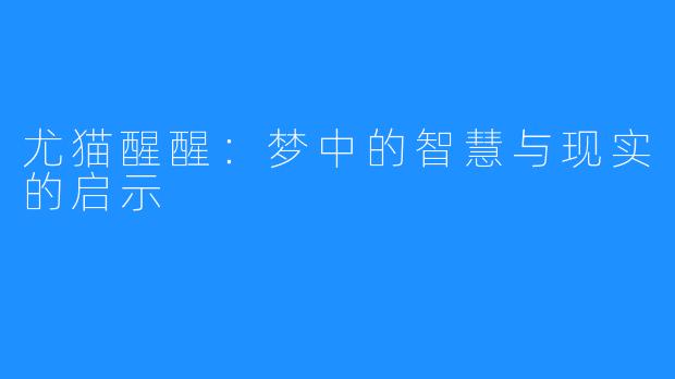 尤猫醒醒：梦中的智慧与现实的启示