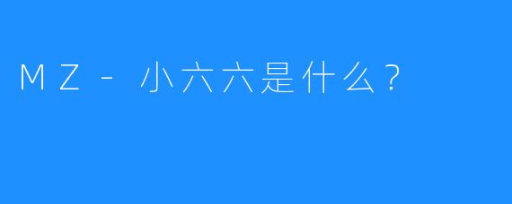MZ-小六六是什么?