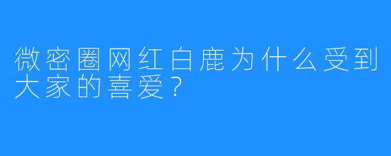 微密圈网红白鹿为什么受到大家的喜爱?