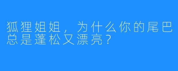 狐狸姐姐，为什么你的尾巴总是蓬松又漂亮？