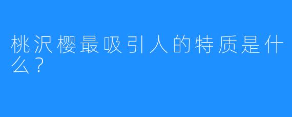 桃沢樱最吸引人的特质是什么?