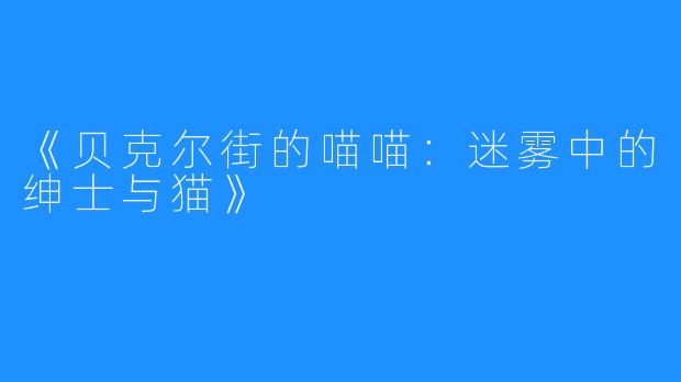 《贝克尔街的喵喵:迷雾中的绅士与猫》