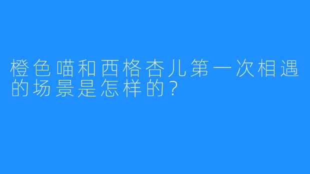 橙色喵和西格杏儿第一次相遇的场景是怎样的？