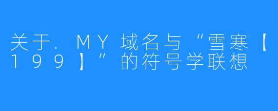 关于.MY域名与“雪寒【199】”的符号学联想