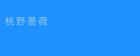 桃野薔薇
