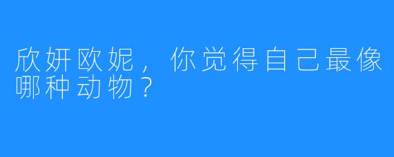 欣妍欧妮,你觉得自己最像哪种动物?