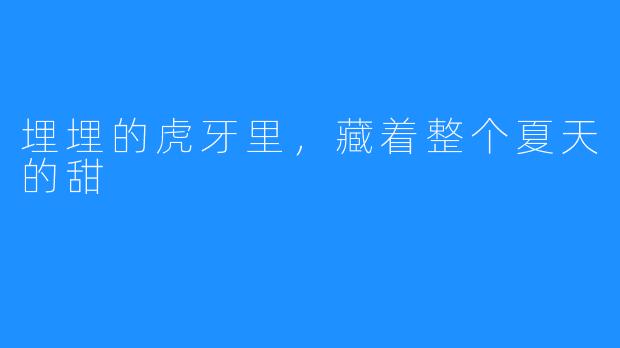 埋埋的虎牙里,藏着整个夏天的甜
