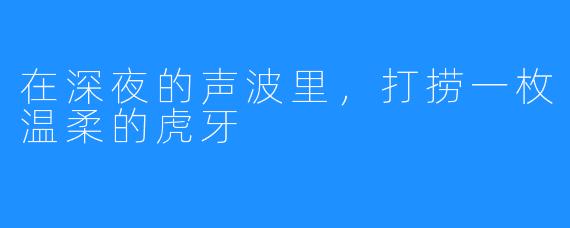 在深夜的声波里,打捞一枚温柔的虎牙