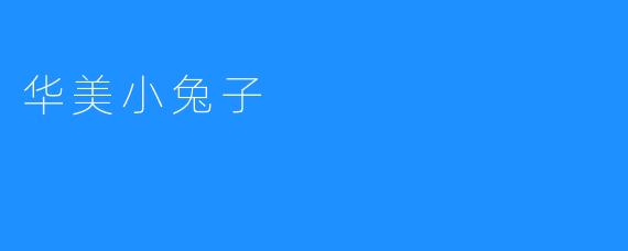 华美小兔子