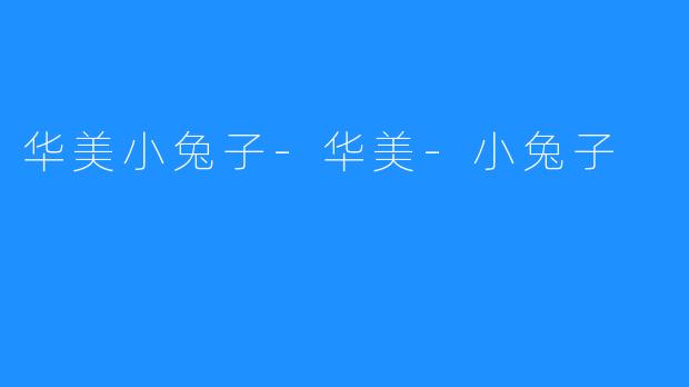 华美小兔子-华美-小兔子