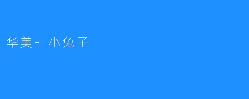 华美-小兔子